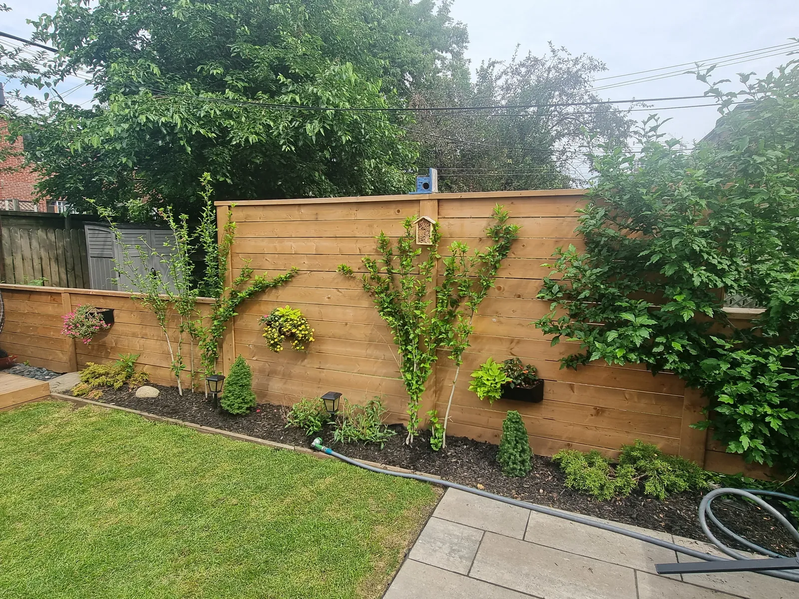 Horizontal cedar privacy fence with fresh garden landscaping in a Toronto backyard