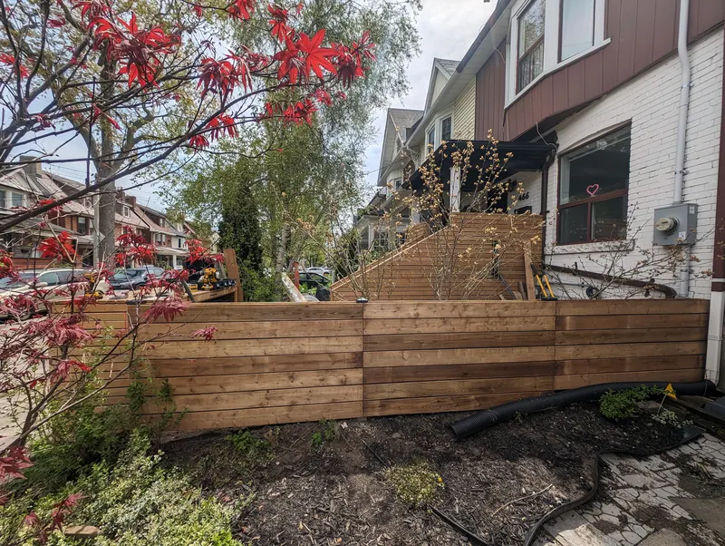 Horizontal cedar front yard fence beneath a red Japanese maple